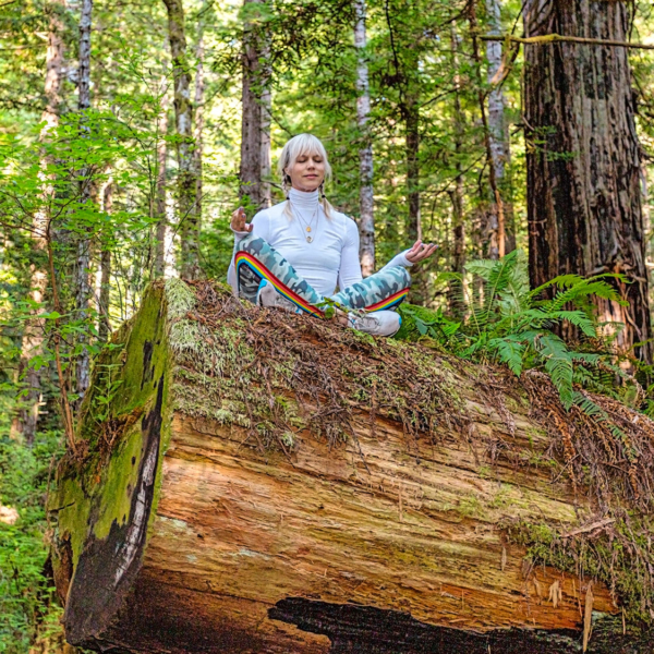 Meditation Redwood Forest Close-up